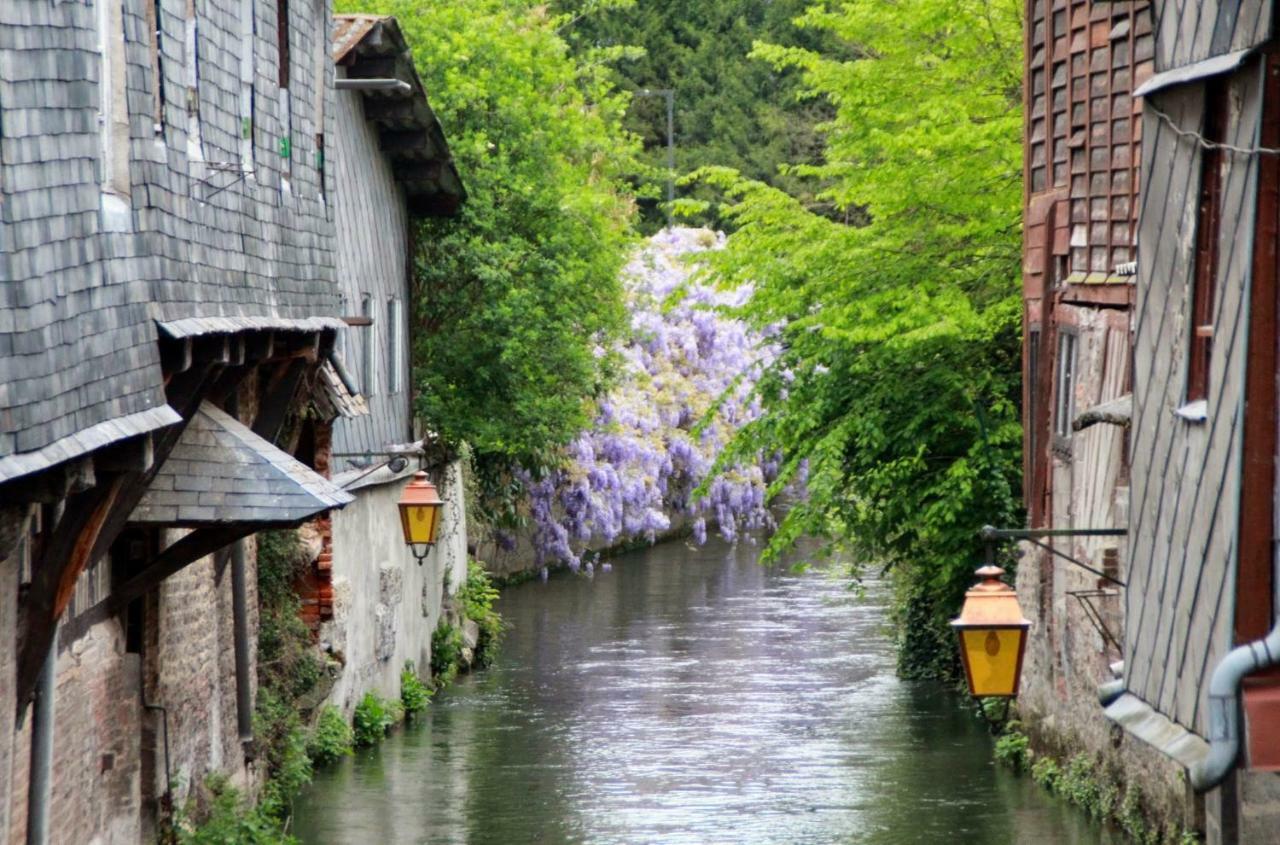 Le Clos Des Hortensias Toutainville Екстериор снимка